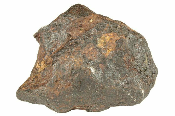 Canyon Diablo Iron Meteorite ( g) - Arizona #270674